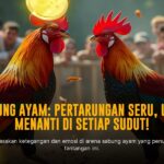 Teknik Unggul Menang Taruhan Sabung Ayam di SV388