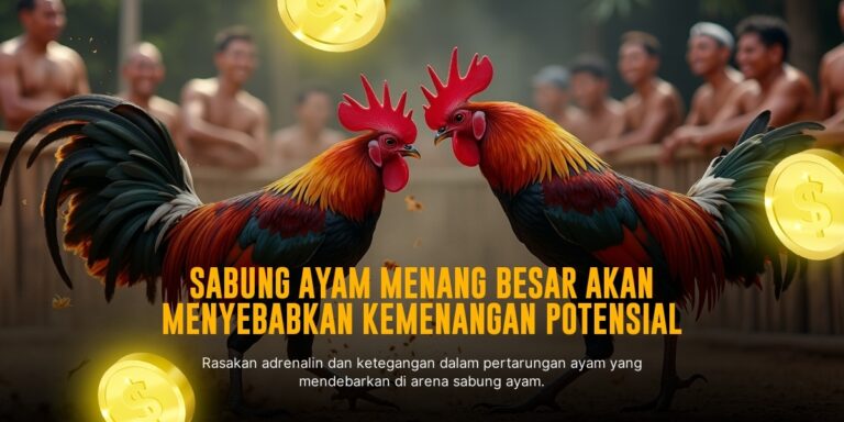 Mengenal Ayam Bangkok: Raja Sabung Ayam yang Tangguh