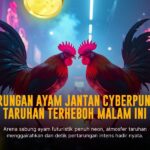 Mengenal Ayam Bangkok: Raja Sabung Ayam yang Penuh Strategi